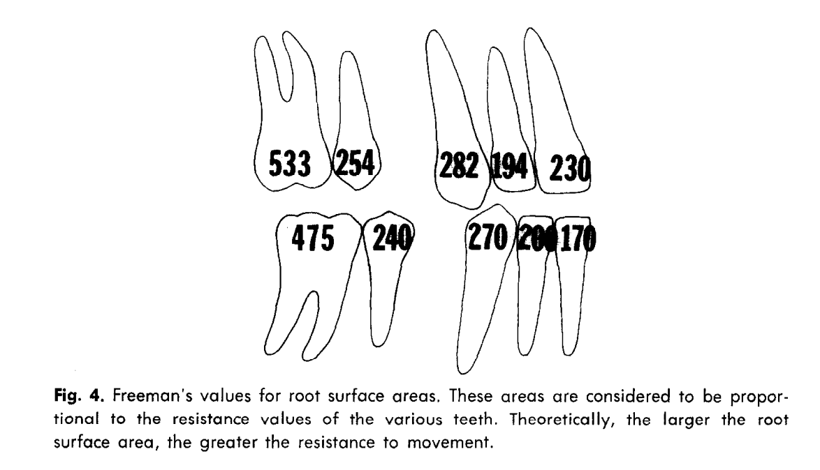 Tooth movement after orthodontic treatment with 4 second premolar